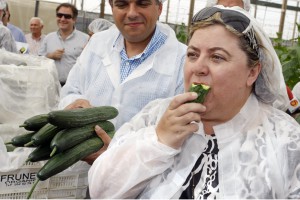 La voluminosa consejera de Agricultura, Clara Aguilera, tragándose un pepino.