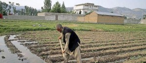 Casa Bin Laden Casa Bin Laden