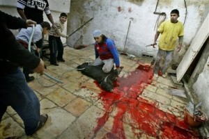 Animales como el de la imagen son brutalmente asesinados siguiendo el rito 'halal'.