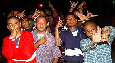 Las violentas bandas latinas se mueven ya con entera libertad en muchos puntos de la geografía española.