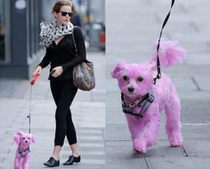 Emma Watson, paseando un gracioso perrito rosa.