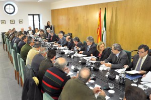 Reunión de alcaldes andaluces.