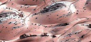 Lo que parecen árboles en la superficie marciana son en realidad dunas de arena cubiertas de CO2 congelado o hielo seco.