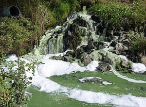 Vertidos de aguas residuales en Doñana