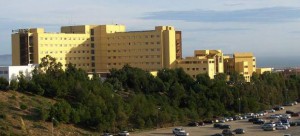 La mujer ha quedado ingresada en la unidad de psiquiatría del Hospital Torrecárdenas. La mujer ha quedado ingresada en la unidad de psiquiatría del Hospital Torrecárdenas.