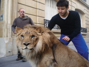 El 'artista', en la imagen, junto al león