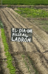 Letreros como éste pueden verse ya en el campo valenciano