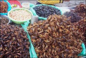 Venta de insectos en un mercadillo en China 