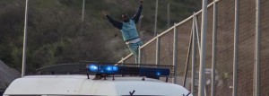 Un inmigrante encaramado a la valla de Melilla.