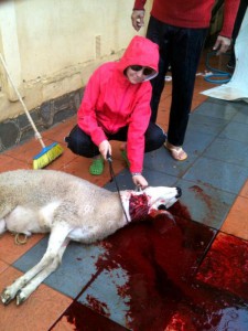 "A mas de uno le aria asín", señala la matarife en su Twitter.