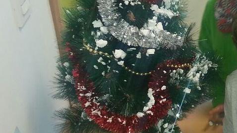 Árbol de Navidad sin adornos religiosos en un aula del centro