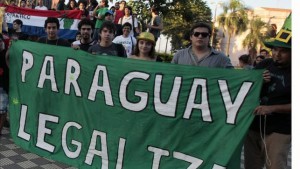 Piden legalizar el cultivo de marihuana para combatir la narcopolítica en Paraguay