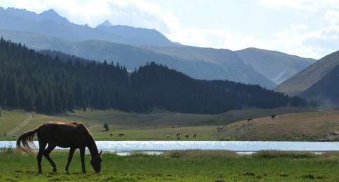 Un caballo junto al lago Kara-Kul, en el valle de Chon-Ak-Suu, en Kirguistán