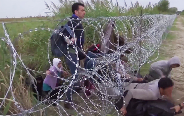 Inmigrantes procedente de Oriente Medio entran a Hungría desde Serbia el pasado 26 de agosto pasando por debajo de una concertina erigida por el Gobierno húngaro. (Imagen: capturada de un vídeo del WSJ)