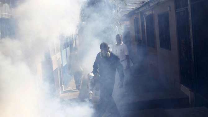 El virus del zika es transmitido por el mosquito Aedes Aegypti