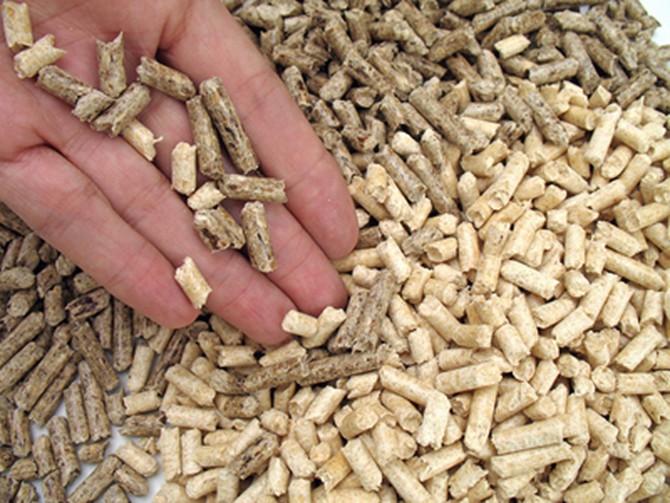 Imagen de biomasa lista para su aprovechamiento.