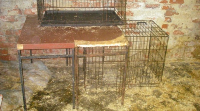 Jaulas donde los animales eran encerrados