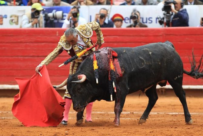 El torero mexicano Rodolfo Rodríguez "El Pana" lidia su primer toro de la tarde, "Siempre Juntos".