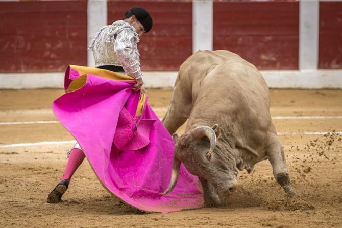 El novillero murciano Pablo Belando, en una imagen de 2015.