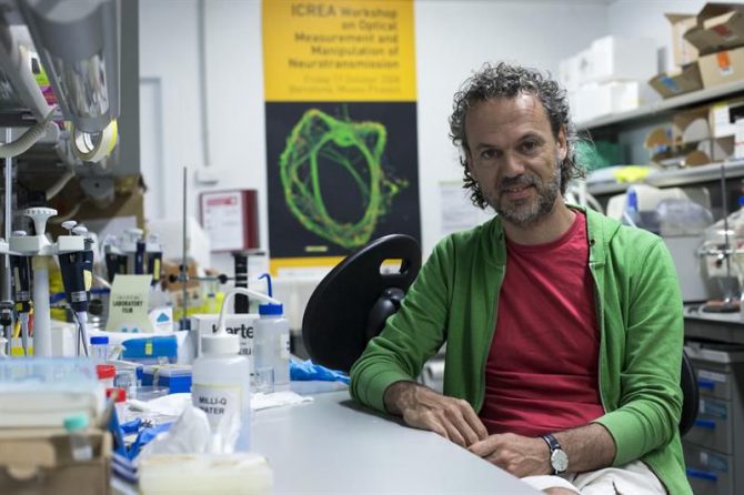 El profesor de investigación ICREA en el Instituto de Bioingeniería de Cataluña (IBEC), Pau Gorostiza.