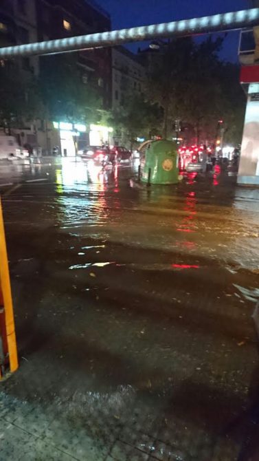 La hojarasca y la basura impiden que los imbornales engullan las aguas pluviales en Valencia.