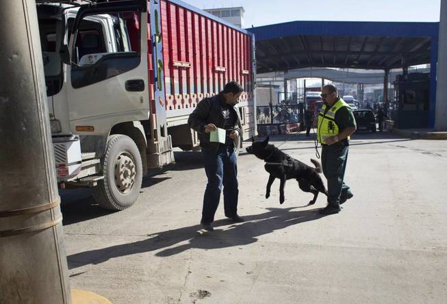 Un perro reacciona ante un camionero marroquí en el paso de Beni Ansar entre Marruecos y Melilla, en 2013. 