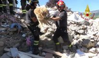 Una captura de pantalla de un video de los bomberos italianos rescatando un golden retriever llamado Romeo de entre los escombros tras el sismo del 24 de agosto, el 3 de septiembre de 2016, en San Lorenzo e Flaviano