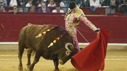 Alejandro Talavante, en Zaragoza