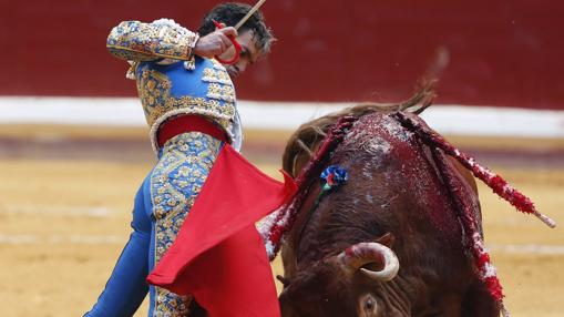 José Tomás, en Illumbe