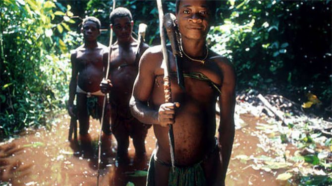 Las técnicas de caza varían entre los pueblos pigmeos, e incluyen arcos y flechas, así como redes y lanzas
