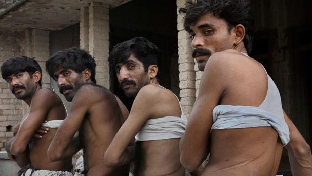 Los riñones se vendían por 520 euros