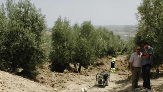 Localiadad de Rus en Jaén