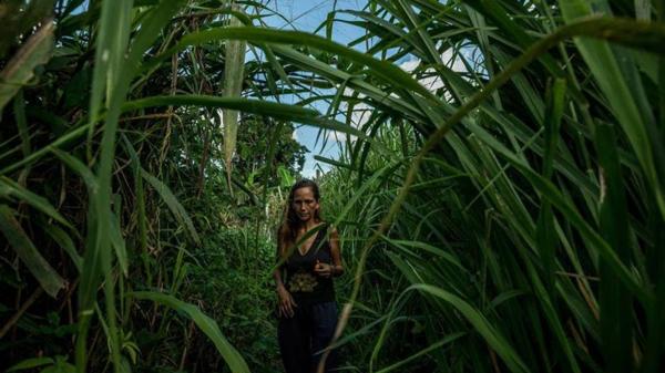 La familia de Kevin lleva meses comiendo yuca