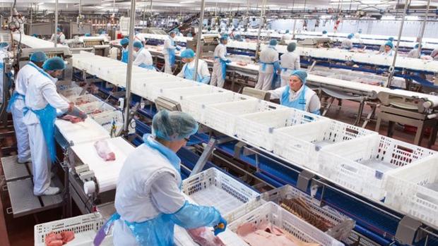 Guissona, grupo alimentario líder de Cataluña, creará 4.000 empleos en Épila (Zaragoza)