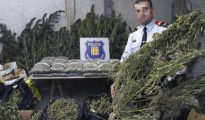 Operación de los Mossos d'Esquadra contra una red que cultivaba marihuana