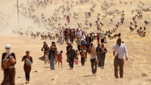 Yazidíes desplazados por la guerra