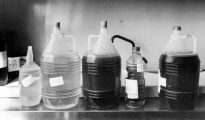 Imagen de 1981, de envases de aceite de colza que causó la dolencia