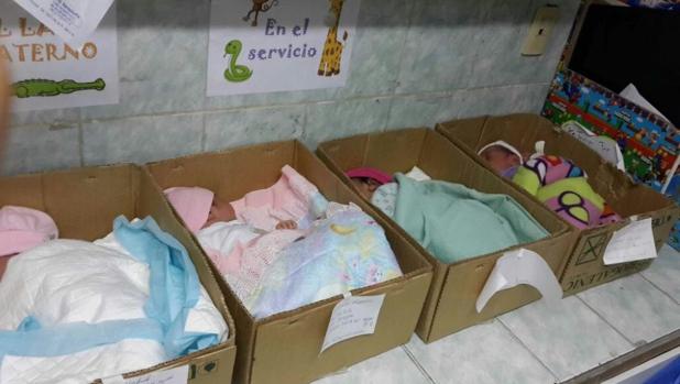 Recién nacidos, en cajas de cartón en vez de incubadoras, en Venezuela 