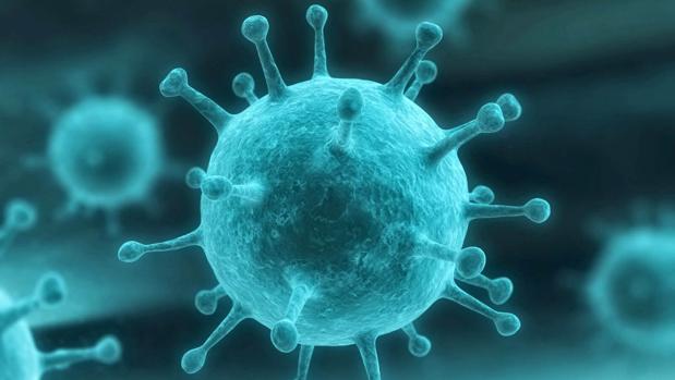 Imagen tomada al microscopio de uno de virus causantes de herpes genital