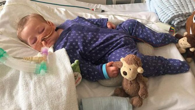 El pequeño Charlie.