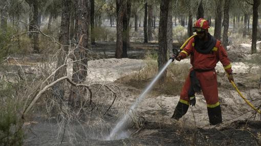 Intervienen más de 260 efectivos del Infoca y de la Unidad Militar de Emergencias (UME)