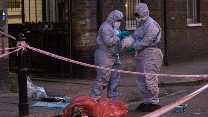 Vickie Flores / London News Pictures / www.globallookpress.com