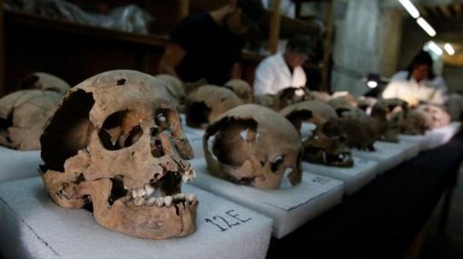 Calaveras extraídas del yacimiento