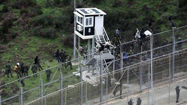 Inmigrantes custodiados por la policía marroquí tras saltar la valla de Ceuta