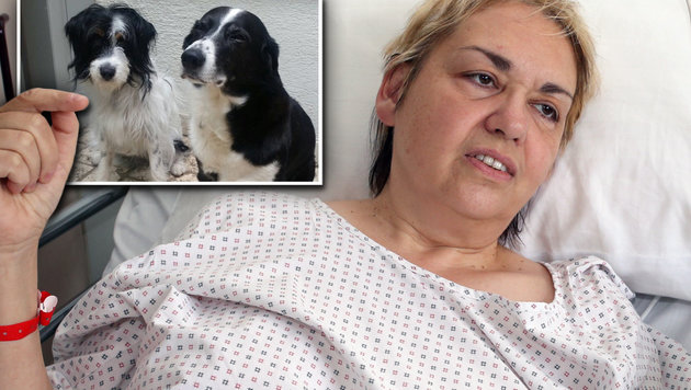 Ingrid Trenker, en la cama del hospital, muestra las imágenes de sis dos mejores amigos.