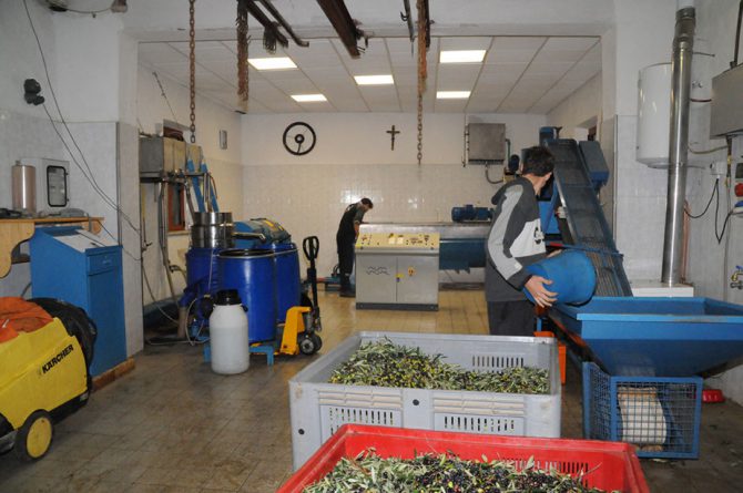 Una jornada de trabajo en Nomadelfia