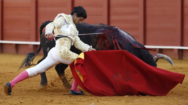Pablo Aguado se dobla con el toro