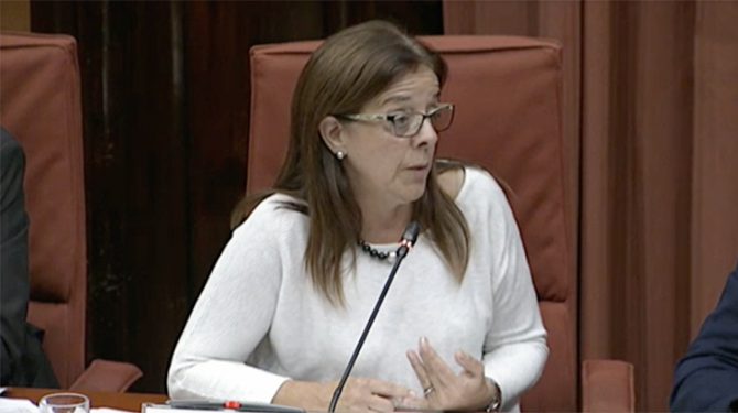 Llorach, durante la comparecencia