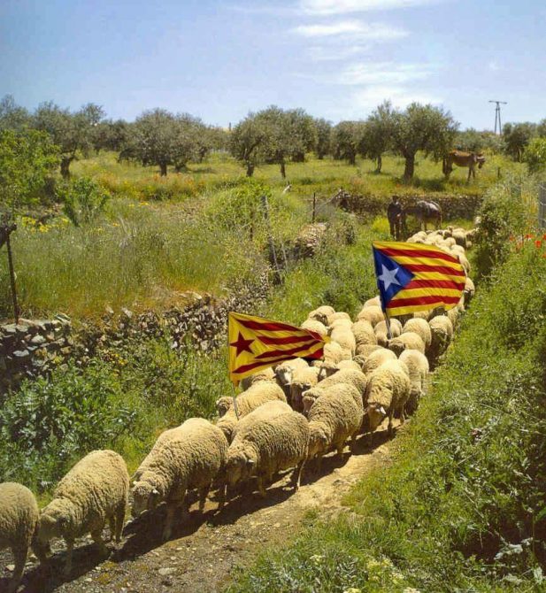 La sociedad catalana, enferma de odio y tristemente manipulada y adoctrinada por una casta política indecente.