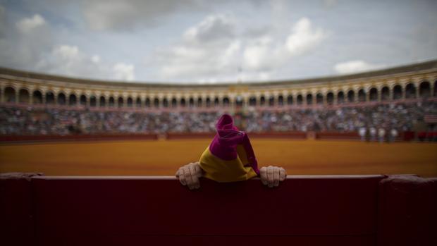 Real Maestranza de Sevilla en tarde de feria